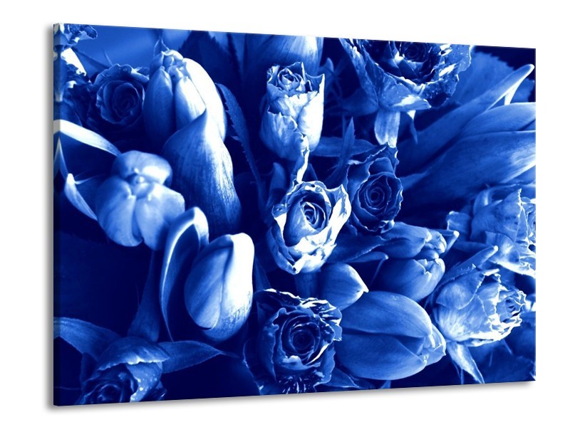 Canvas schilderij Bloemen | Blauw, Wit | 100x70cm 1Luik
