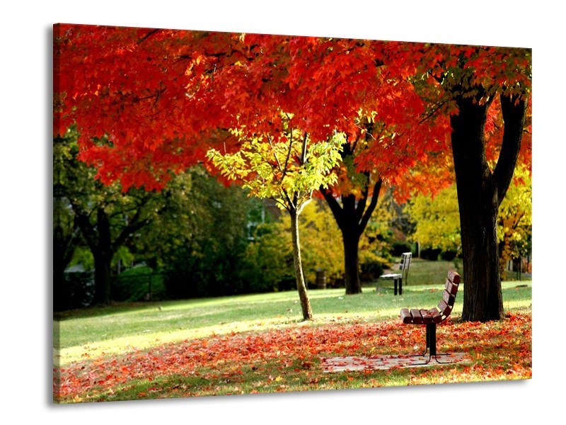 Canvas schilderij Park | Rood, Geel, Groen | 100x70cm 1Luik