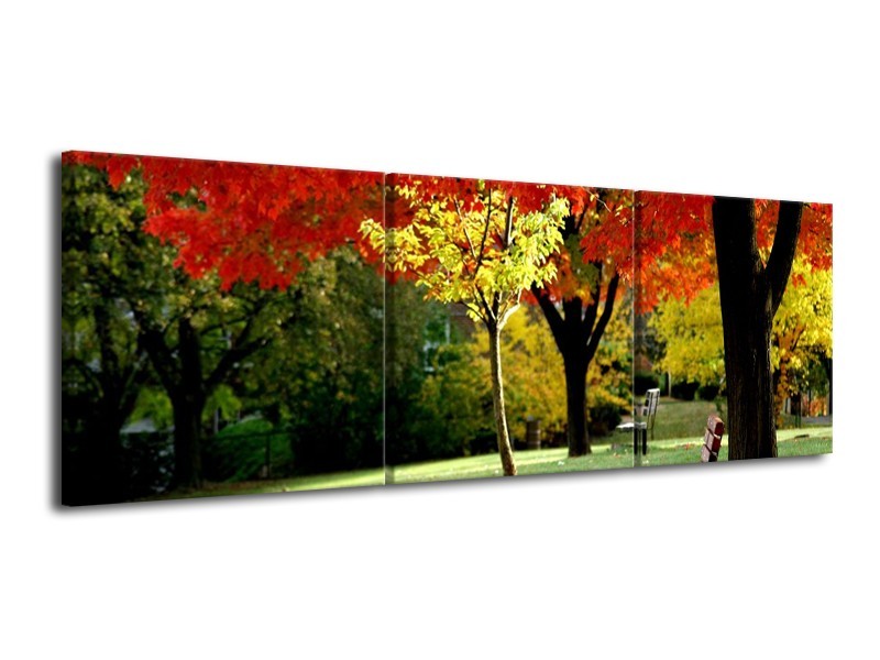 Glas schilderij Park | Rood, Geel, Groen | 120x40cm 3Luik