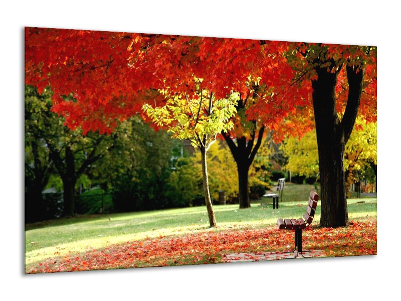 Canvas schilderij Park | Rood, Geel, Groen | 120x70cm 1Luik