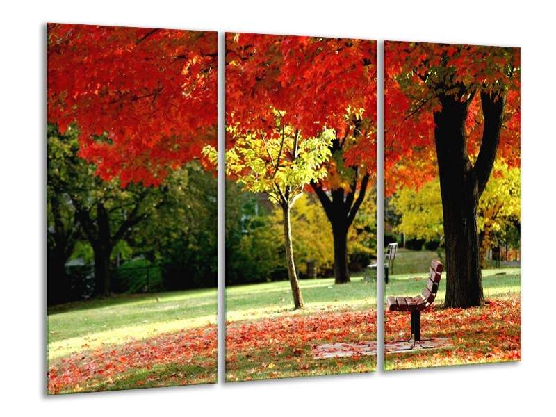 Glas schilderij Park | Rood, Geel, Groen | 120x80cm 3Luik