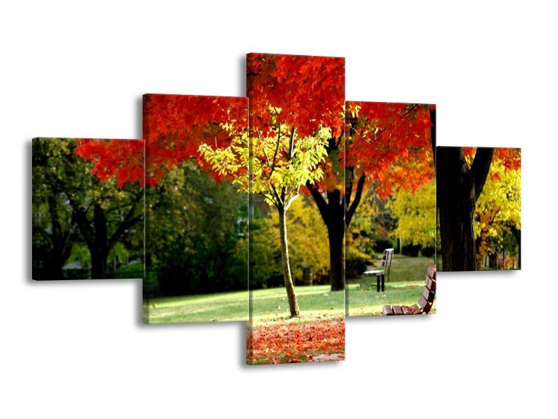 Canvas schilderij Park | Rood, Geel, Groen | 125x70cm 5Luik
