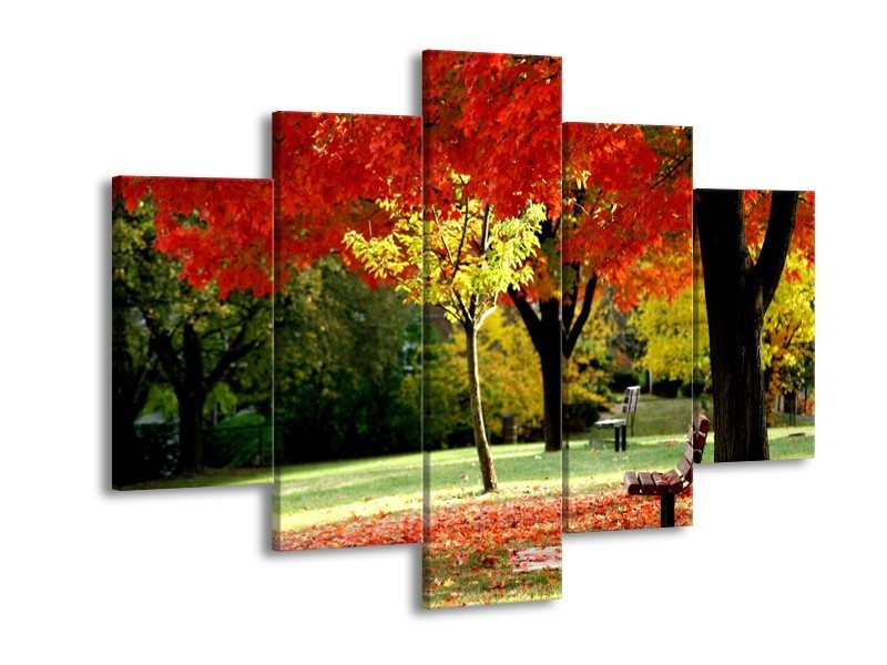 Canvas schilderij Park | Rood, Geel, Groen | 150x105cm 5Luik
