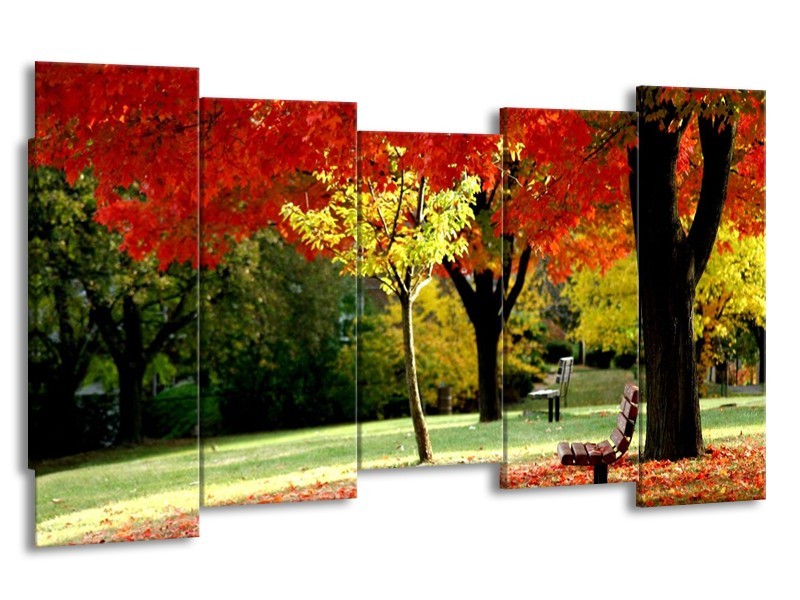 Canvas schilderij Park | Rood, Geel, Groen | 150x80cm 5Luik