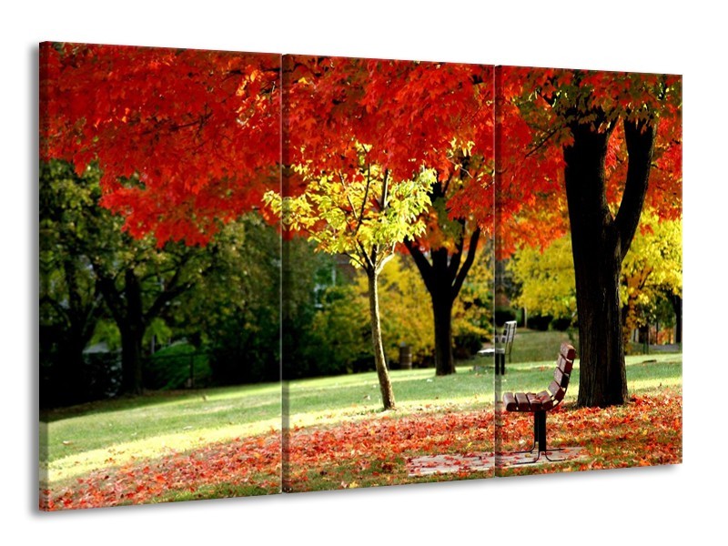 Canvas schilderij Park | Rood, Geel, Groen | 165x100cm 3Luik