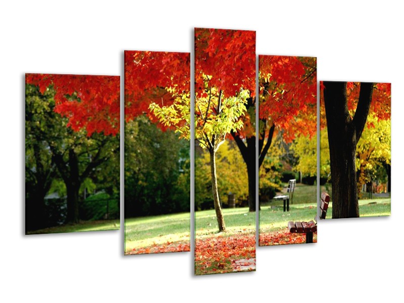 Canvas schilderij Park | Rood, Geel, Groen | 170x100cm 5Luik