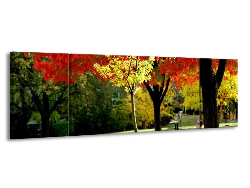 Canvas schilderij Park | Rood, Geel, Groen | 170x50cm 3Luik