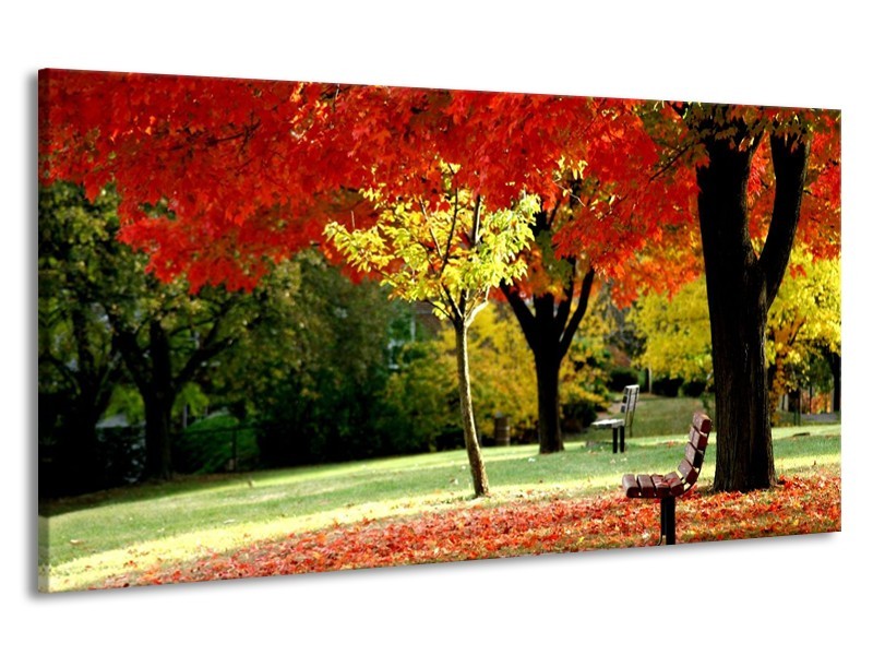 Canvas schilderij Park | Rood, Geel, Groen | 190x100cm 1Luik