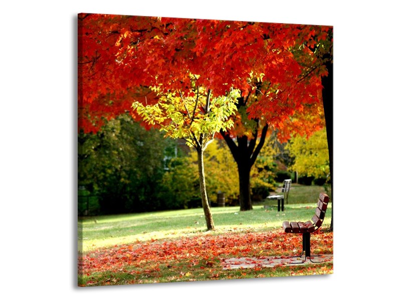 Canvas schilderij Park | Rood, Geel, Groen | 50x50cm 1Luik