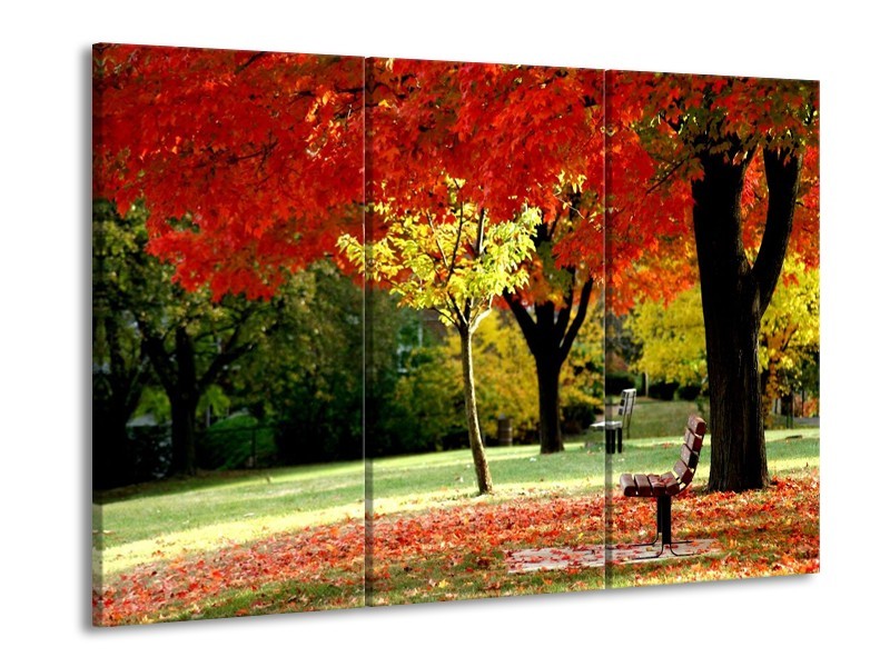 Canvas schilderij Park | Rood, Geel, Groen | 90x60cm 3Luik