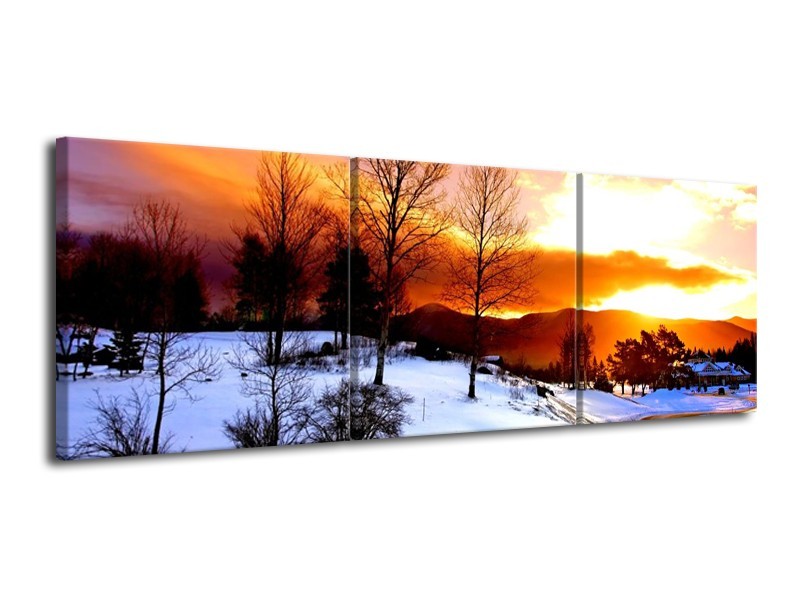 Glas schilderij Winter | Wit, Oranje, Bruin | 120x40cm 3Luik