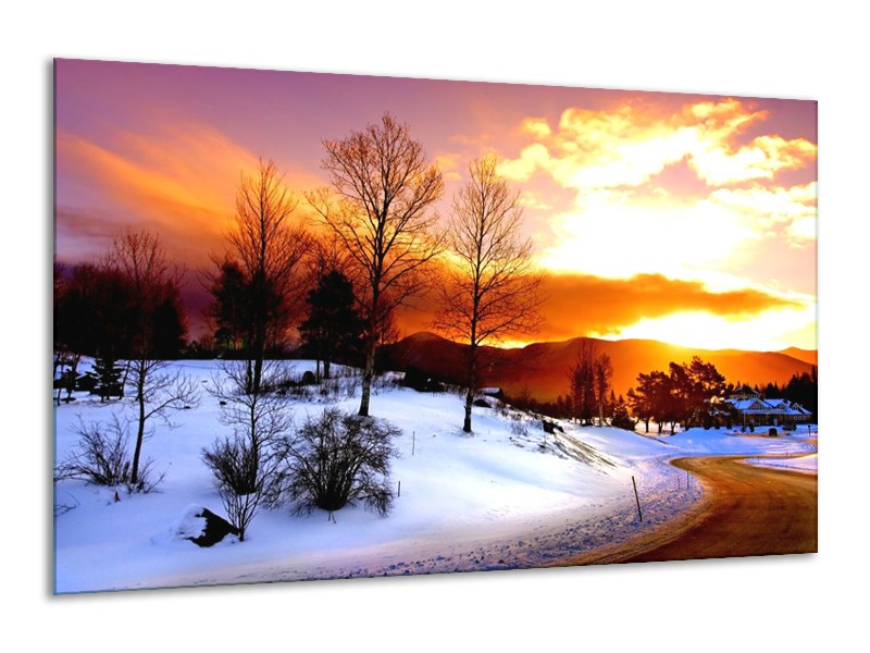 Glas schilderij Winter | Wit, Oranje, Bruin | 120x70cm 1Luik