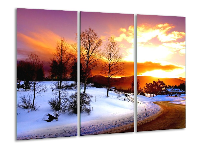 Glas schilderij Winter | Wit, Oranje, Bruin | 120x80cm 3Luik
