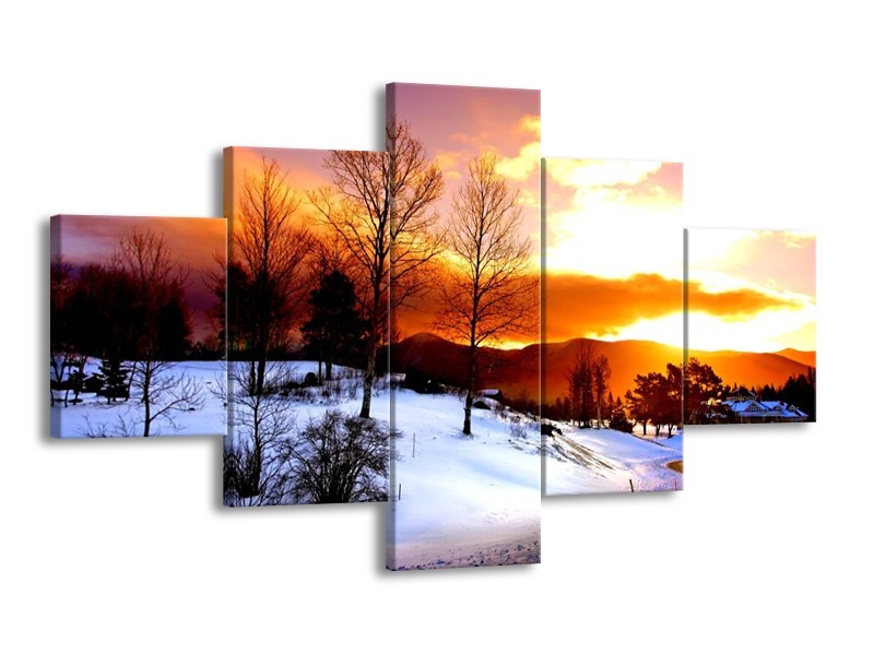 Glas schilderij Winter | Wit, Oranje, Bruin | 125x70cm 5Luik