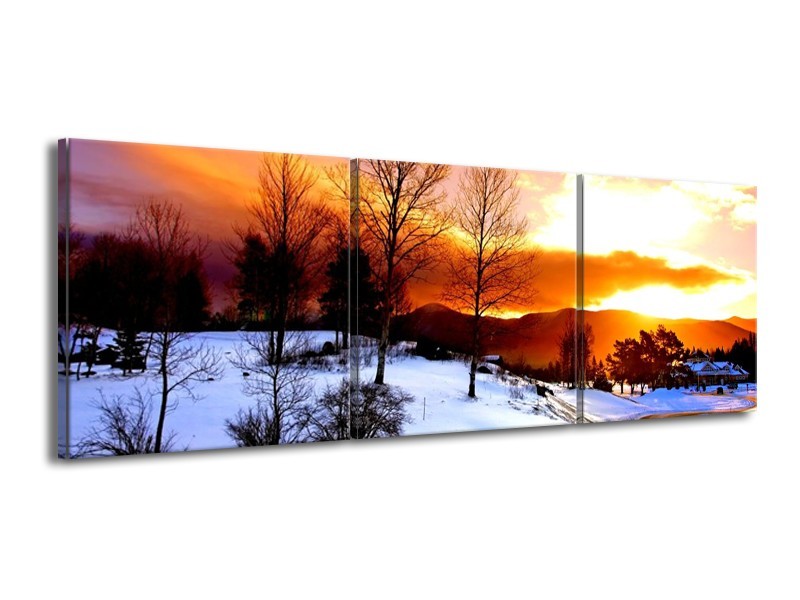 Canvas schilderij Winter | Wit, Oranje, Bruin | 150x50cm 3Luik