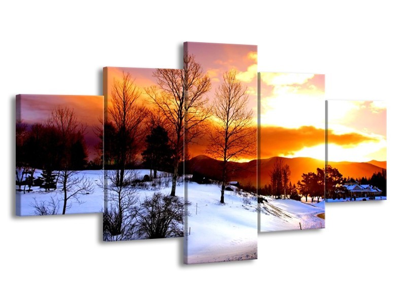 Canvas schilderij Winter | Wit, Oranje, Bruin | 150x80cm 5Luik