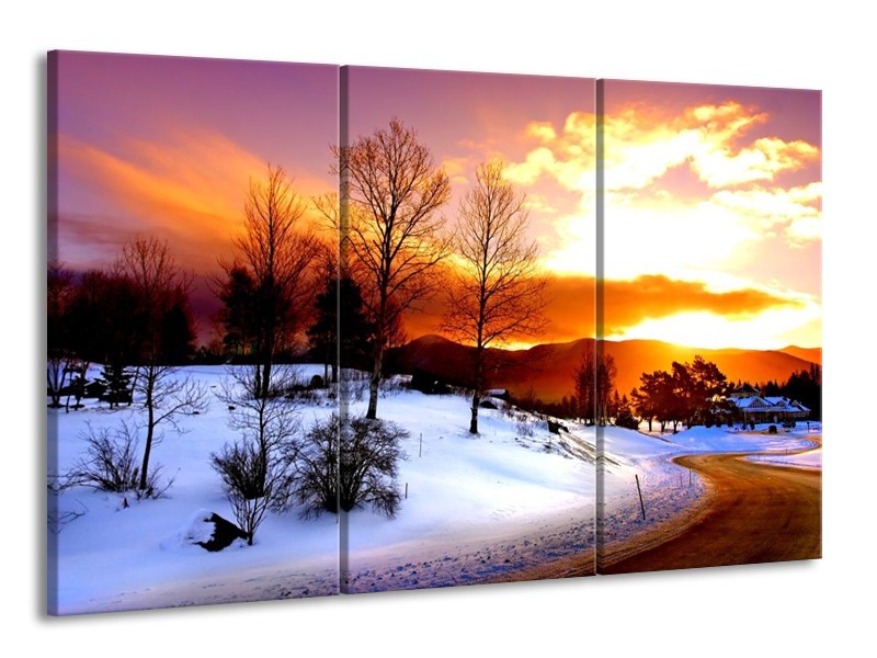 Canvas schilderij Winter | Wit, Oranje, Bruin | 165x100cm 3Luik