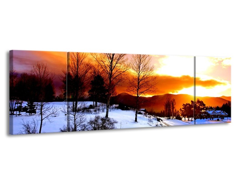 Glas schilderij Winter | Wit, Oranje, Bruin | 170x50cm 3Luik