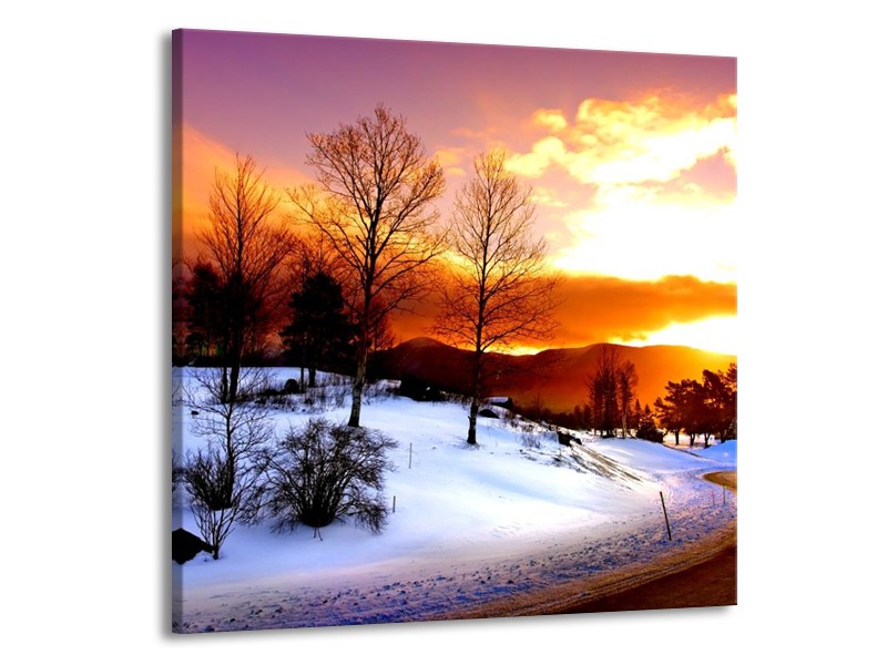 Canvas schilderij Winter | Wit, Oranje, Bruin | 50x50cm 1Luik