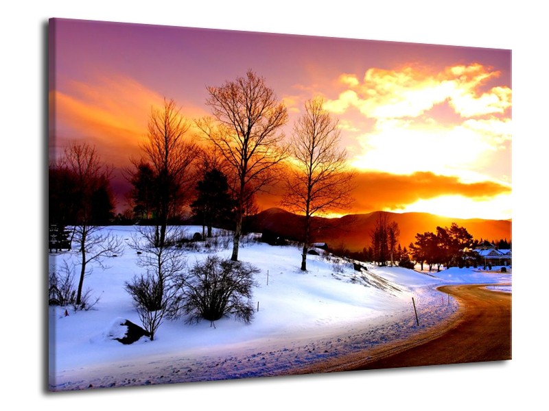 Canvas schilderij Winter | Wit, Oranje, Bruin | 70x50cm 1Luik