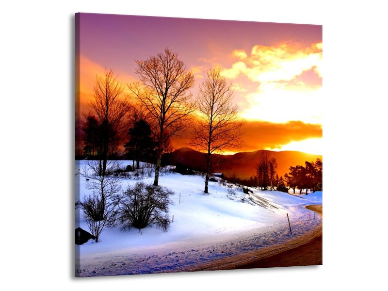 Canvas schilderij Winter | Wit, Oranje, Bruin | 70x70cm 1Luik