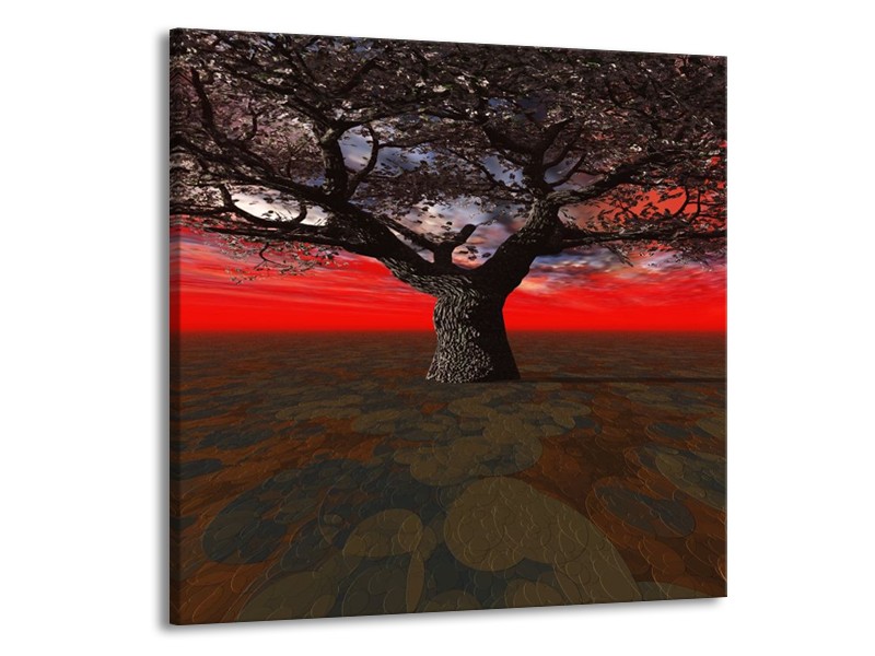 Glas schilderij Boom | Rood, Bruin, Zwart | 50x50cm 1Luik