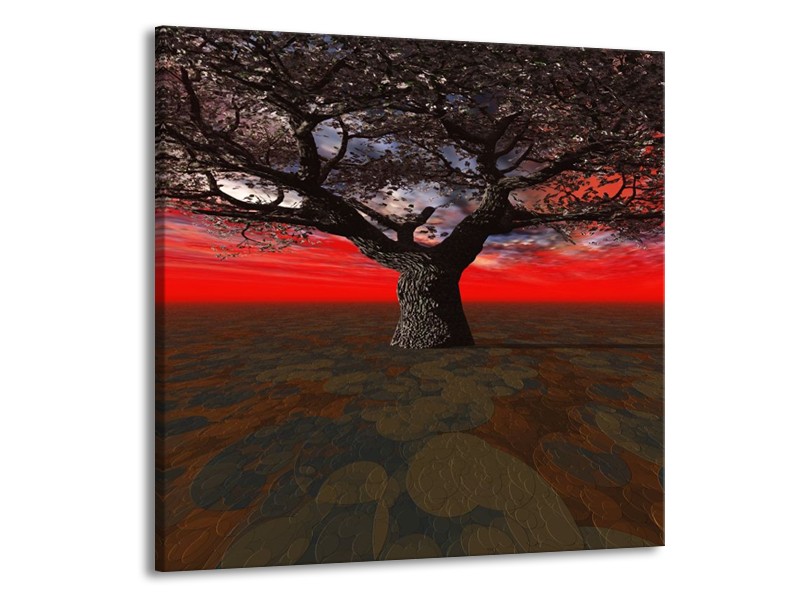 Glas schilderij Boom | Rood, Bruin, Zwart | 70x70cm 1Luik