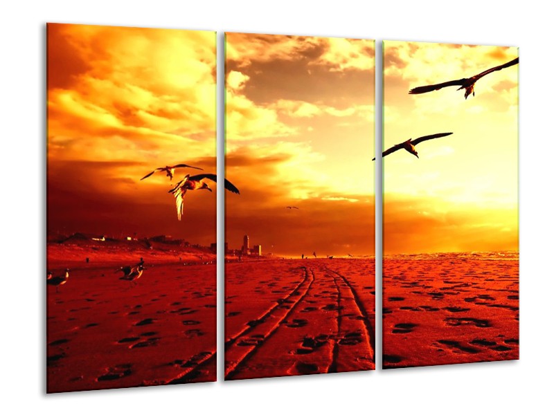 Glas schilderij Vogels | Rood, Geel, Wit | 120x80cm 3Luik