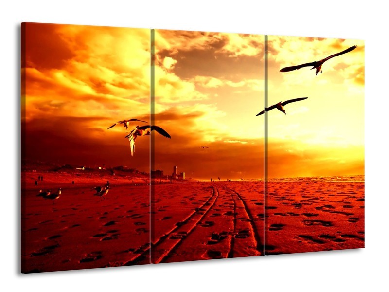 Glas schilderij Vogels | Rood, Geel, Wit | 165x100cm 3Luik