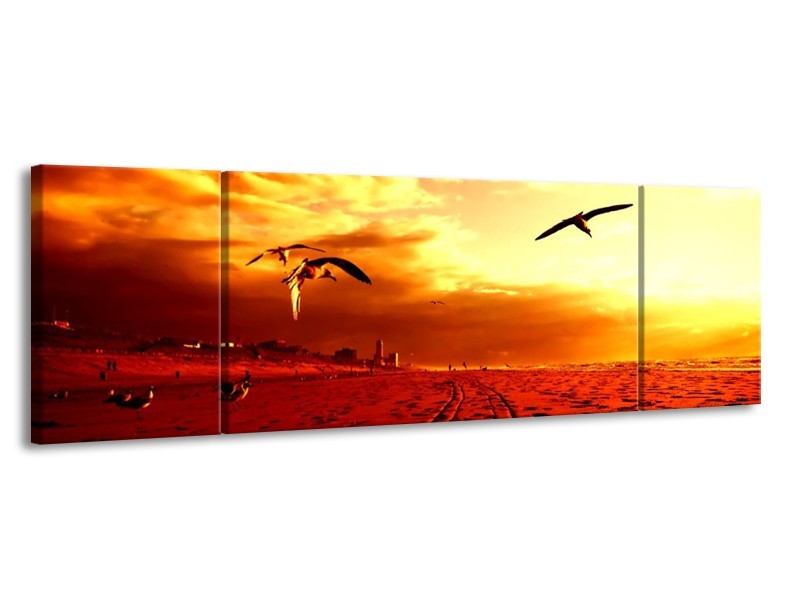 Canvas schilderij Vogels | Rood, Geel, Wit | 170x50cm 3Luik