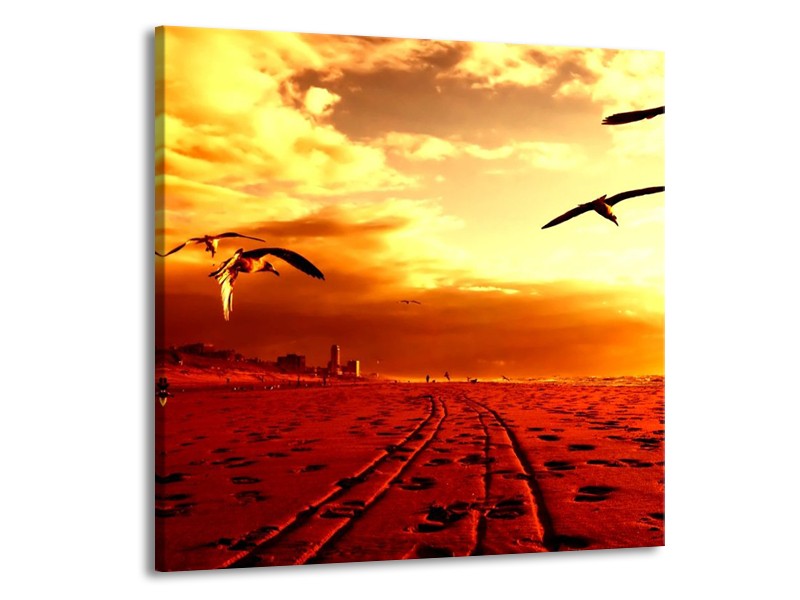 Canvas schilderij Vogels | Rood, Geel, Wit | 50x50cm 1Luik