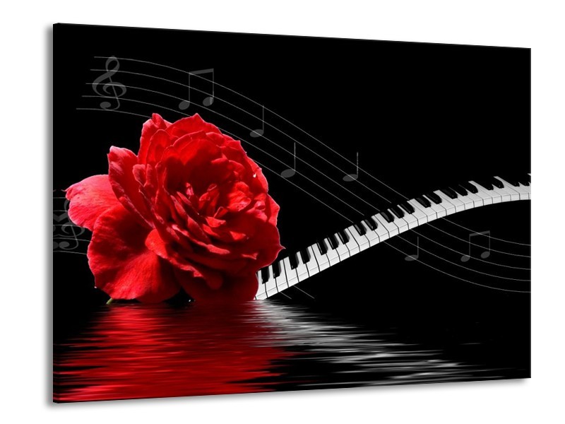 Glas schilderij Roos | Rood, Wit, Zwart | 100x70cm 1Luik