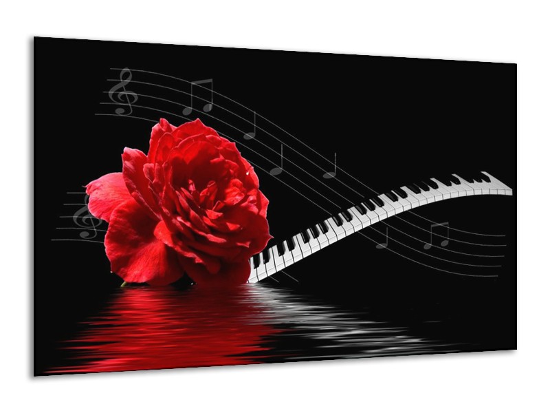 Glas schilderij Roos | Rood, Wit, Zwart | 120x70cm 1Luik