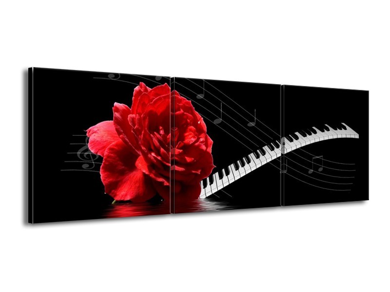 Glas schilderij Roos | Rood, Wit, Zwart | 150x50cm 3Luik