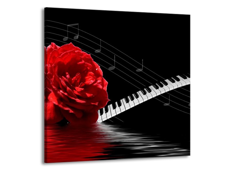 Glas schilderij Roos | Rood, Wit, Zwart | 50x50cm 1Luik