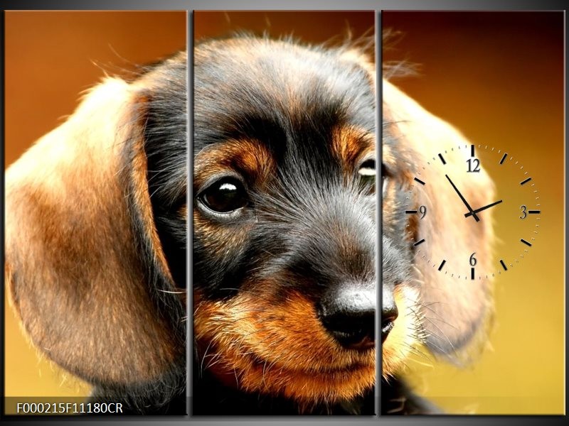 Klok schilderij Hond | Bruin, Geel, Zwart | 111x80cm 3Luik
