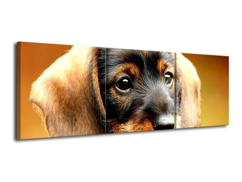 Canvas schilderij Hond | Bruin, Geel, Zwart | 120x40cm 3Luik