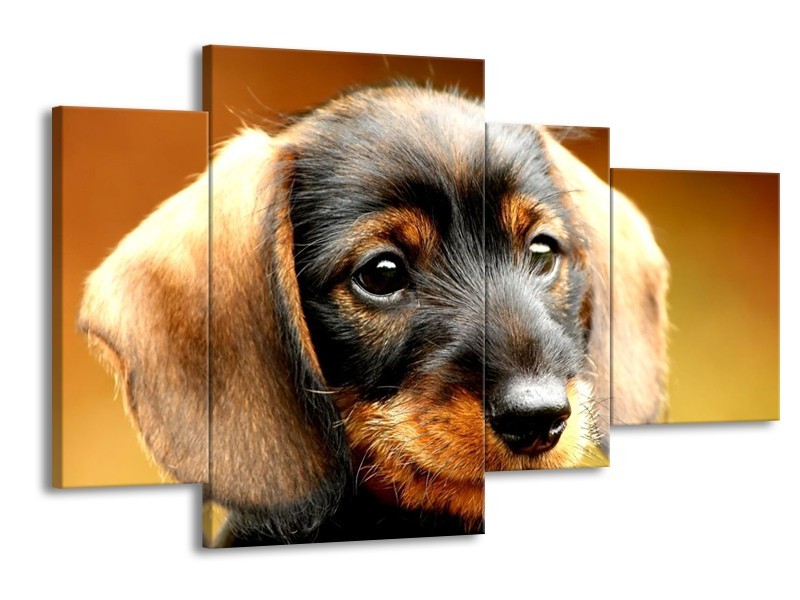 Canvas schilderij Hond | Bruin, Geel, Zwart | 120x75cm 4Luik