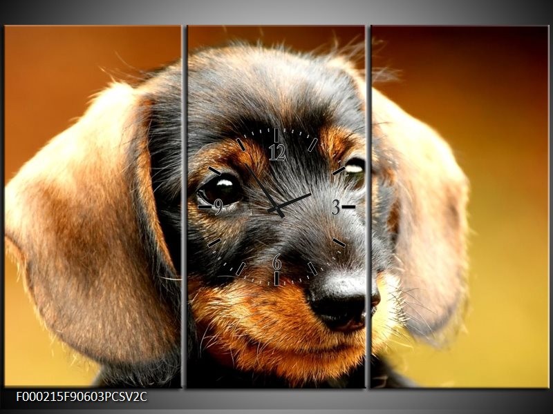 Klok schilderij Hond | Bruin, Geel, Zwart | 90x60cm 3Luik