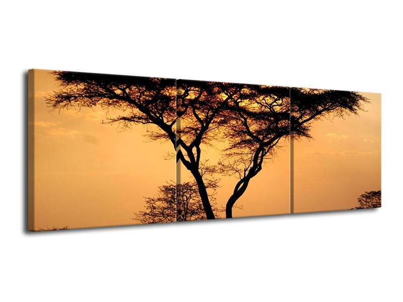 Canvas schilderij Boom | Grijs, Geel, Bruin | 120x40cm 3Luik