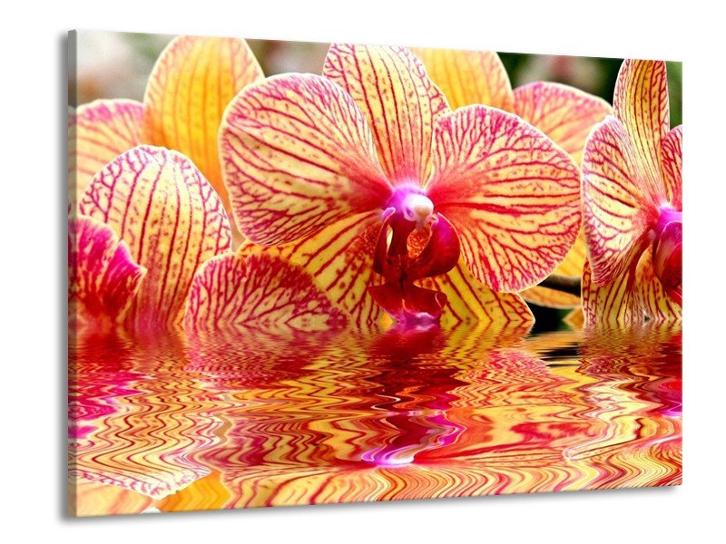 Canvas schilderij Orchidee | Geel, Rood, Wit | 100x70cm 1Luik