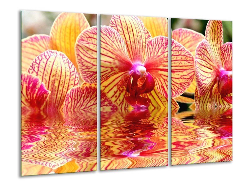 Canvas schilderij Orchidee | Geel, Rood, Wit | 120x80cm 3Luik