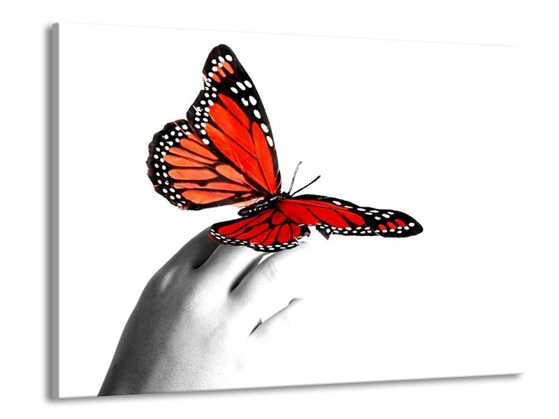 Canvas schilderij Vlinder | Rood, Wit, Zwart | 100x70cm 1Luik