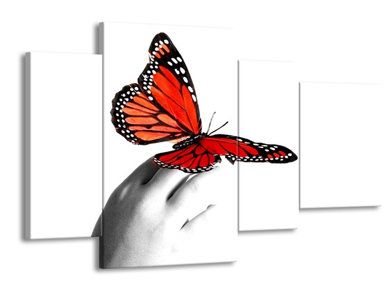 Glas schilderij Vlinder | Rood, Wit, Zwart | 120x75cm 4Luik