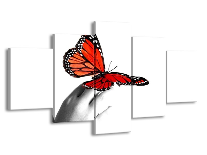 Glas schilderij Vlinder | Rood, Wit, Zwart | 150x80cm 5Luik