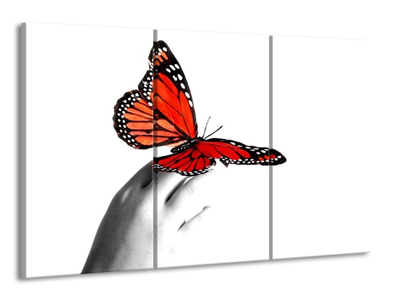 Canvas schilderij Vlinder | Rood, Wit, Zwart | 165x100cm 3Luik