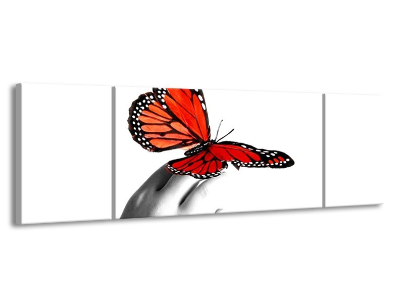Canvas schilderij Vlinder | Rood, Wit, Zwart | 170x50cm 3Luik