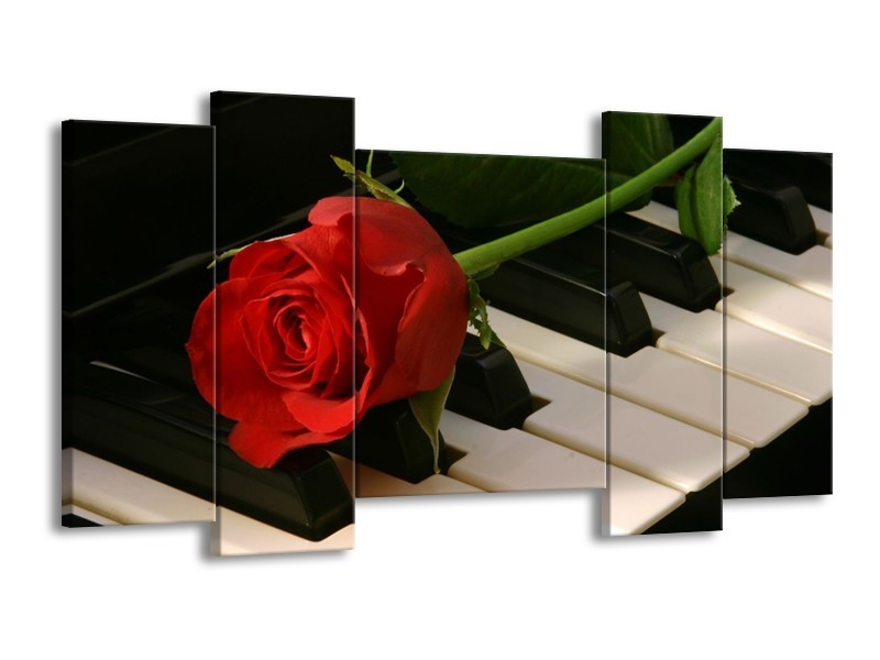 Glas schilderij Roos | Rood, Rood, Zwart | 120x65cm 5Luik