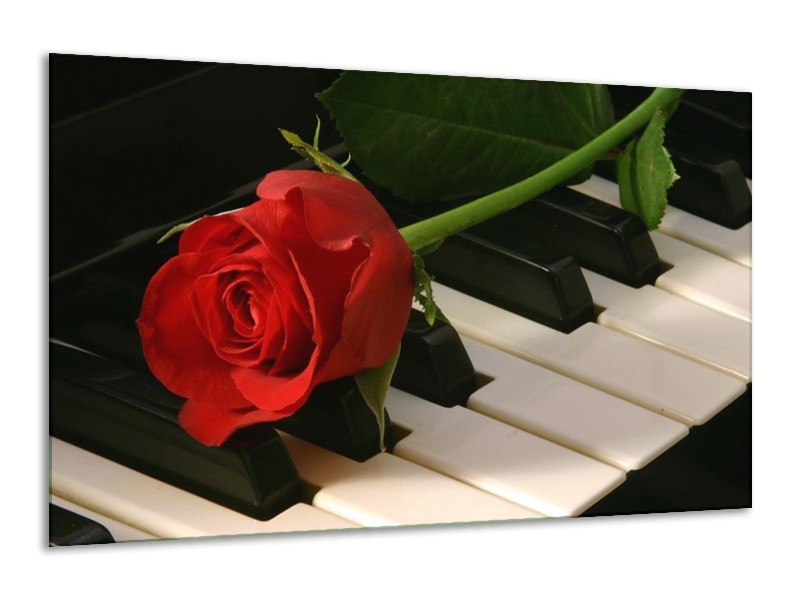 Glas schilderij Roos | Rood, Rood, Zwart | 120x70cm 1Luik