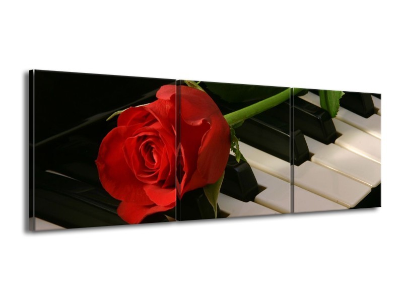 Glas schilderij Roos | Rood, Rood, Zwart | 150x50cm 3Luik